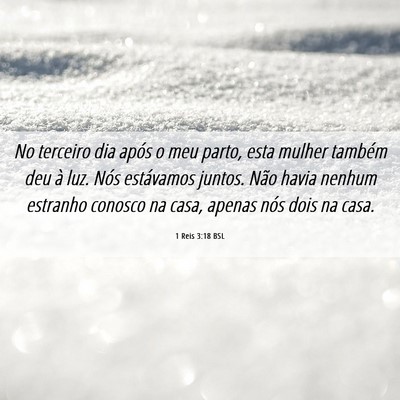 Picture 06 - 1 Reis 3:18 BSL - No terceiro dia após o meu parto, esta mulher - Bible Verse Picture