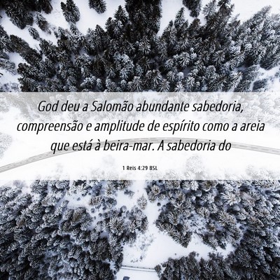 Picture 06 - 1 Reis 4:29 BSL - God deu a Salomão abundante sabedoria, - Bible Verse Picture