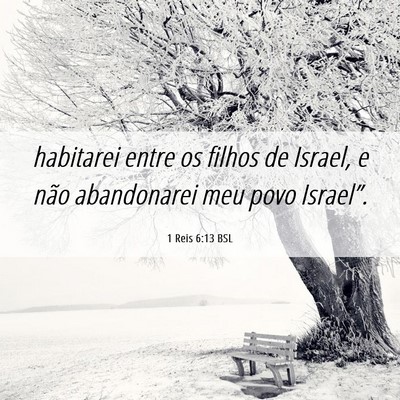 Picture 06 - 1 Reis 6:13 BSL - habitarei entre os filhos de Israel, e não - Bible Verse Picture