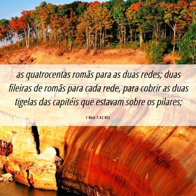 Picture 06 - 1 Reis 7:42 BSL - as quatrocentas romãs para as duas redes; duas - Bible Verse Picture