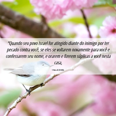 Picture 06 - 1 Reis 8:33 BSL - “Quando seu povo Israel for atingido diante do - Bible Verse Picture