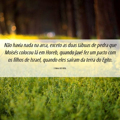 Picture 06 - 1 Reis 8:9 BSL - Não havia nada na arca, exceto as duas tábuas - Bible Verse Picture