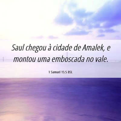 Picture 06 - 1 Samuel 15:5 BSL - Saul chegou à cidade de Amalek, e montou uma - Bible Verse Picture