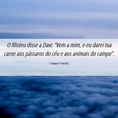 Picture 06 - 1 Samuel 17:44 BSL - O filisteu disse a Davi: “Vem a mim, e eu darei - Bible Verse Picture