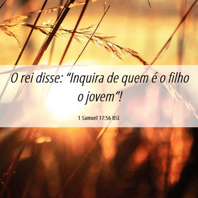 Picture 06 - 1 Samuel 17:56 BSL - O rei disse: “Inquira de quem é o filho o - Bible Verse Picture