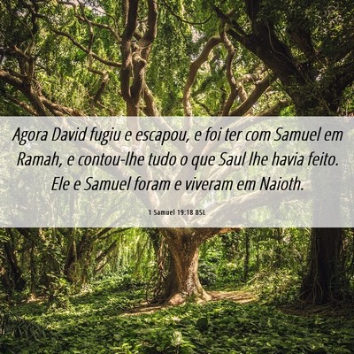 Picture 06 - 1 Samuel 19:18 BSL - Agora David fugiu e escapou, e foi ter com Samuel - Bible Verse Picture