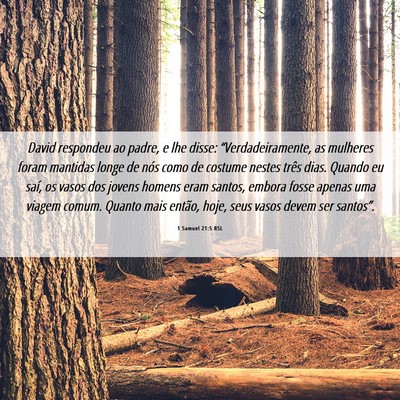 Picture 06 - 1 Samuel 21:5 BSL - David respondeu ao padre, e lhe disse: - Bible Verse Picture