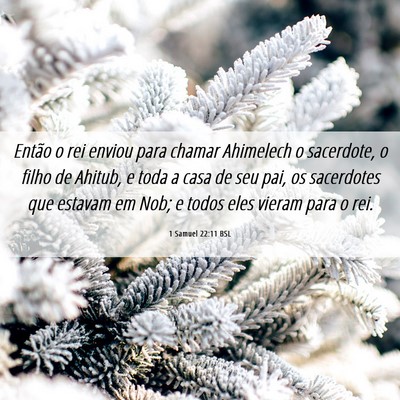 Picture 06 - 1 Samuel 22:11 BSL - Então o rei enviou para chamar Ahimelech o - Bible Verse Picture