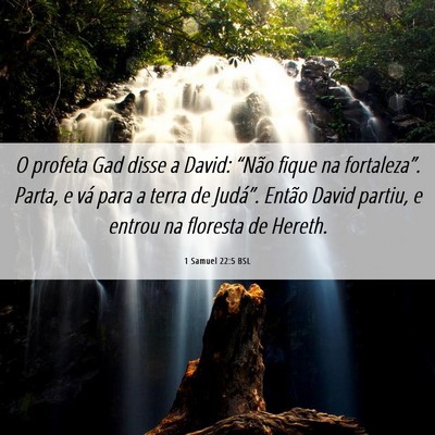 Picture 06 - 1 Samuel 22:5 BSL - O profeta Gad disse a David: “Não fique na - Bible Verse Picture