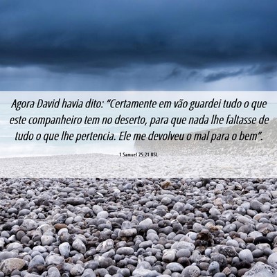 Picture 06 - 1 Samuel 25:21 BSL - Agora David havia dito: “Certamente em vão - Bible Verse Picture