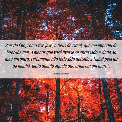 Picture 06 - 1 Samuel 25:34 BSL - Pois de fato, como vive Javé, o Deus de Israel, - Bible Verse Picture
