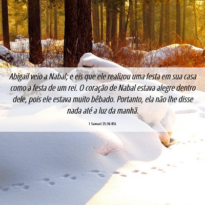 Picture 06 - 1 Samuel 25:36 BSL - Abigail veio a Nabal; e eis que ele realizou uma - Bible Verse Picture
