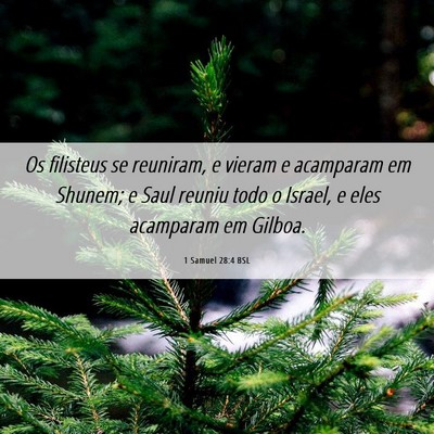 Picture 06 - 1 Samuel 28:4 BSL - Os filisteus se reuniram, e vieram e acamparam em - Bible Verse Picture
