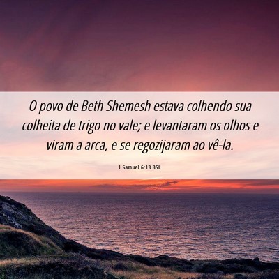 Picture 06 - 1 Samuel 6:13 BSL - O povo de Beth Shemesh estava colhendo sua - Bible Verse Picture