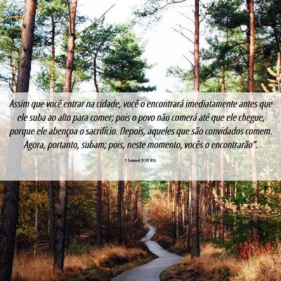 Picture 06 - 1 Samuel 9:13 BSL - Assim que você entrar na cidade, você o - Bible Verse Picture