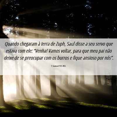 Picture 06 - 1 Samuel 9:5 BSL - Quando chegaram à terra de Zuph, Saul disse a - Bible Verse Picture