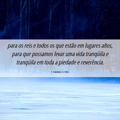 Picture 06 - 1 Timóteo 2:2 BSL - para os reis e todos os que estão em lugares - Bible Verse Picture