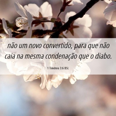 Picture 06 - 1 Timóteo 3:6 BSL - não um novo convertido, para que não caia na - Bible Verse Picture