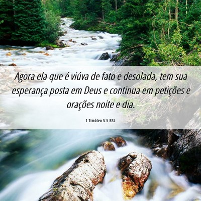 Picture 06 - 1 Timóteo 5:5 BSL - Agora ela que é viúva de fato e desolada, tem - Bible Verse Picture