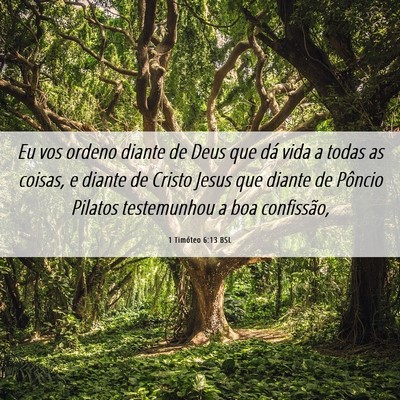 Picture 06 - 1 Timóteo 6:13 BSL - Eu vos ordeno diante de Deus que dá vida a todas - Bible Verse Picture