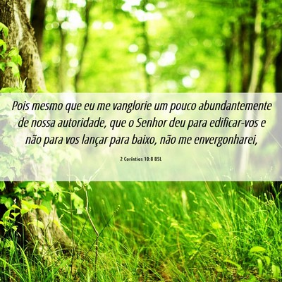 Picture 06 - 2 Coríntios 10:8 BSL - Pois mesmo que eu me vanglorie um pouco - Bible Verse Picture