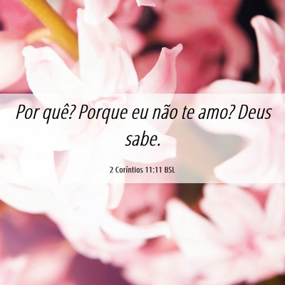 Picture 06 - 2 Coríntios 11:11 BSL - Por quê? Porque eu não te amo? Deus - Bible Verse Picture