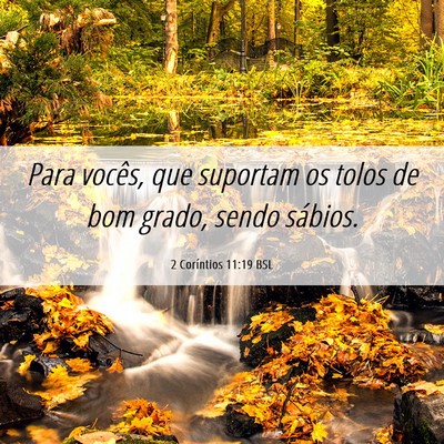 Picture 06 - 2 Coríntios 11:19 BSL - Para vocês, que suportam os tolos de bom grado, - Bible Verse Picture