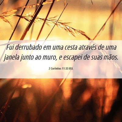 Picture 06 - 2 Coríntios 11:33 BSL - Fui derrubado em uma cesta através de uma janela - Bible Verse Picture