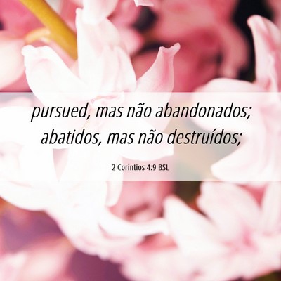 Picture 06 - 2 Coríntios 4:9 BSL - pursued, mas não abandonados; abatidos, mas não - Bible Verse Picture