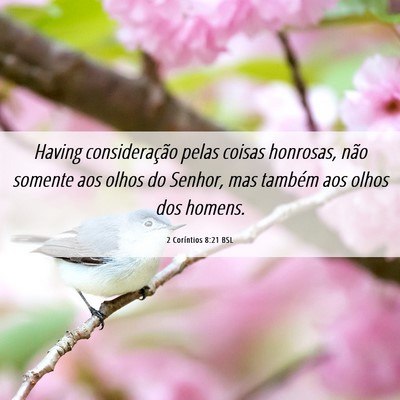 Picture 06 - 2 Coríntios 8:21 BSL - Having consideração pelas coisas honrosas, não - Bible Verse Picture