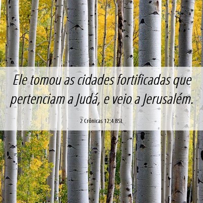 Picture 06 - 2 Crônicas 12:4 BSL - Ele tomou as cidades fortificadas que pertenciam - Bible Verse Picture