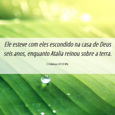 Picture 06 - 2 Crônicas 22:12 BSL - Ele esteve com eles escondido na casa de Deus - Bible Verse Picture
