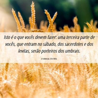 Picture 06 - 2 Crônicas 23:4 BSL - Isto é o que vocês devem fazer: uma terceira - Bible Verse Picture