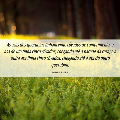 Picture 06 - 2 Crônicas 3:11 BSL - As asas dos querubins tinham vinte côvados de - Bible Verse Picture