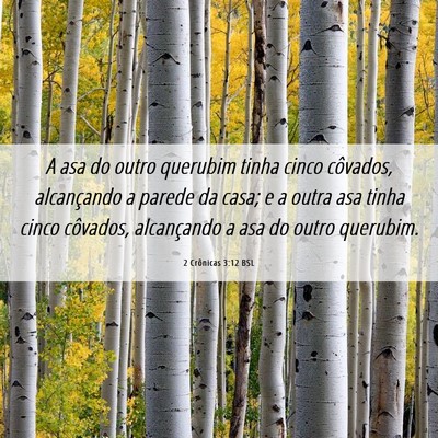 Picture 06 - 2 Crônicas 3:12 BSL - A asa do outro querubim tinha cinco côvados, - Bible Verse Picture