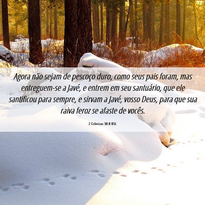 Picture 06 - 2 Crônicas 30:8 BSL - Agora não sejam de pescoço duro, como seus pais - Bible Verse Picture