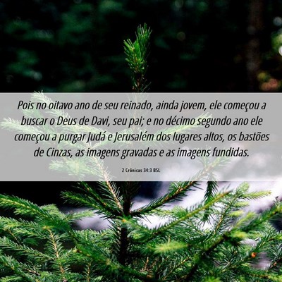 Picture 06 - 2 Crônicas 34:3 BSL - Pois no oitavo ano de seu reinado, ainda jovem, - Bible Verse Picture