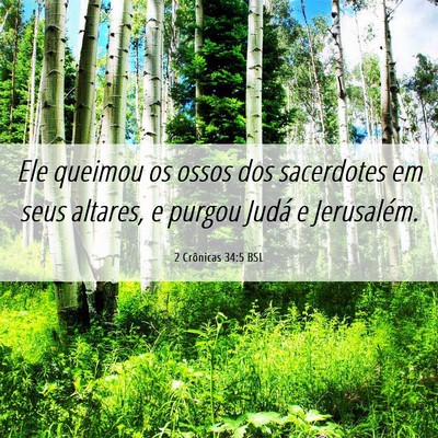 Picture 06 - 2 Crônicas 34:5 BSL - Ele queimou os ossos dos sacerdotes em seus - Bible Verse Picture