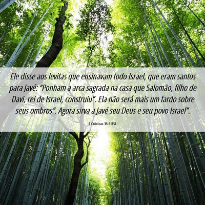 Picture 06 - 2 Crônicas 35:3 BSL - Ele disse aos levitas que ensinavam todo Israel, - Bible Verse Picture