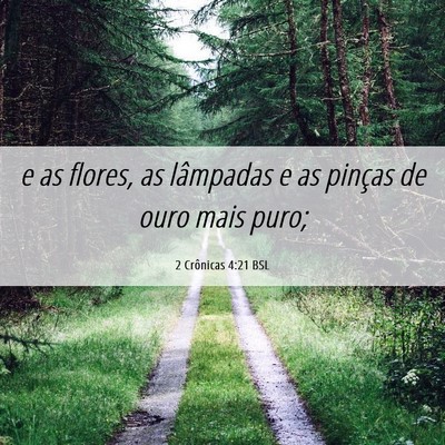 Picture 06 - 2 Crônicas 4:21 BSL - e as flores, as lâmpadas e as pinças de ouro - Bible Verse Picture