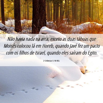 Picture 06 - 2 Crônicas 5:10 BSL - Não havia nada na arca, exceto as duas tábuas - Bible Verse Picture