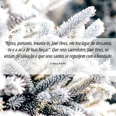 Picture 06 - 2 Crônicas 6:41 BSL - “Agora, portanto, levanta-te, Javé Deus, em - Bible Verse Picture
