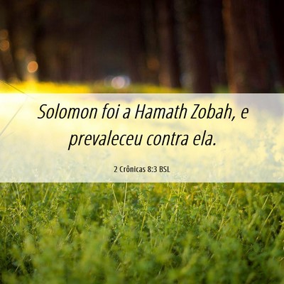 Picture 06 - 2 Crônicas 8:3 BSL - Solomon foi a Hamath Zobah, e prevaleceu contra - Bible Verse Picture