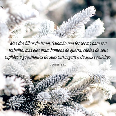 Picture 06 - 2 Crônicas 8:9 BSL - Mas dos filhos de Israel, Salomão não fez - Bible Verse Picture