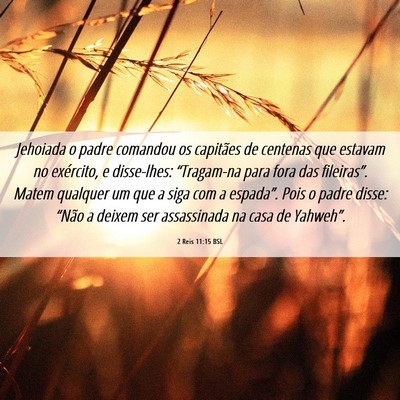Picture 06 - 2 Reis 11:15 BSL - Jehoiada o padre comandou os capitães de - Bible Verse Picture