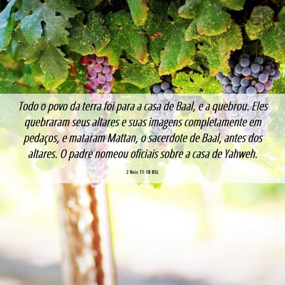 Picture 06 - 2 Reis 11:18 BSL - Todo o povo da terra foi para a casa de Baal, e a - Bible Verse Picture