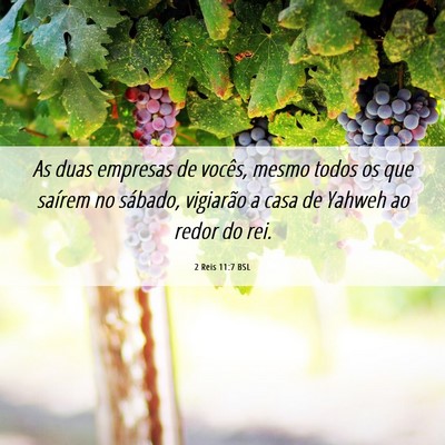 Picture 06 - 2 Reis 11:7 BSL - As duas empresas de vocês, mesmo todos os que - Bible Verse Picture