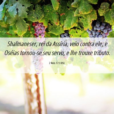 Picture 06 - 2 Reis 17:3 BSL - Shalmaneser, rei da Assíria, veio contra ele; e - Bible Verse Picture