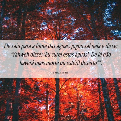 Picture 06 - 2 Reis 2:21 BSL - Ele saiu para a fonte das águas, jogou sal nela - Bible Verse Picture