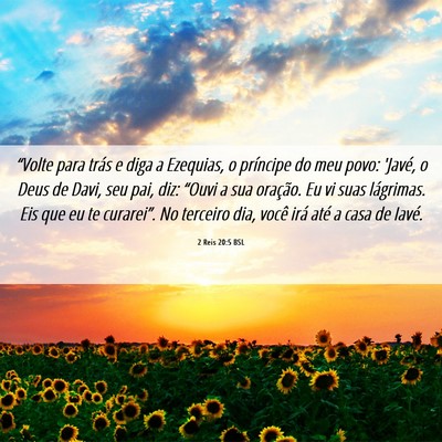 Picture 06 - 2 Reis 20:5 BSL - “Volte para trás e diga a Ezequias, o - Bible Verse Picture